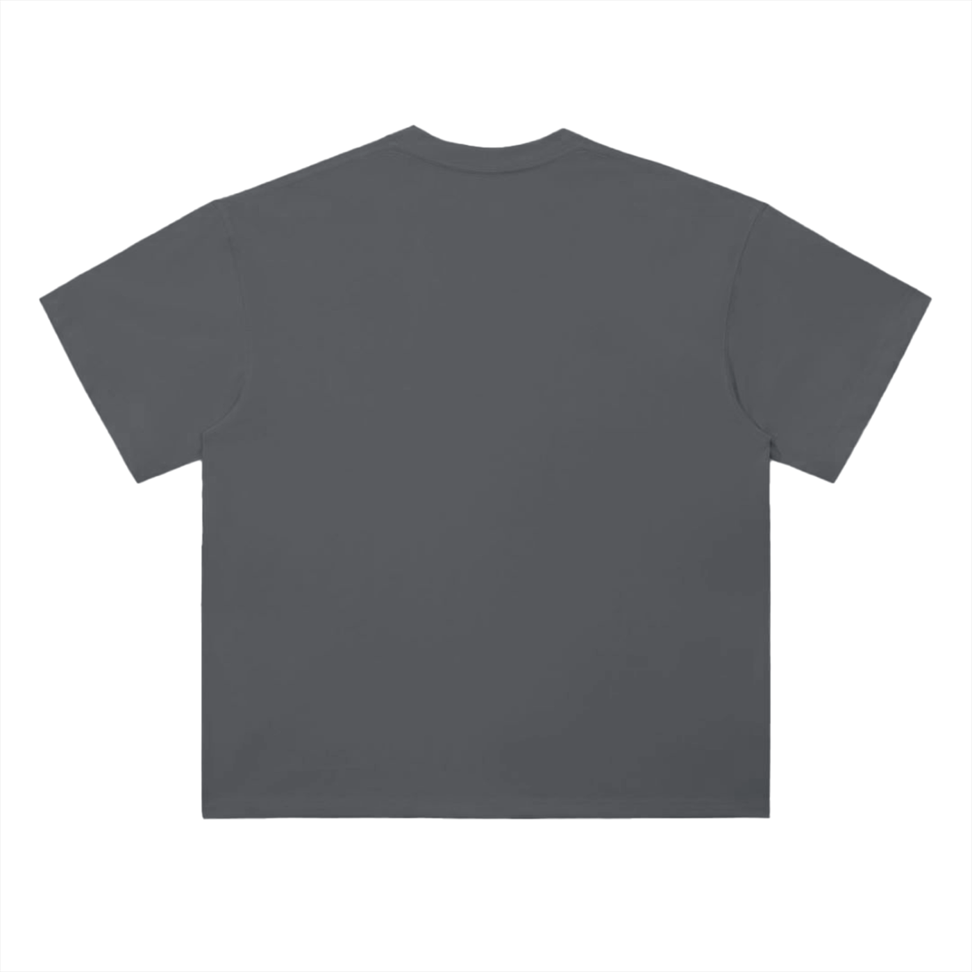heavyweight t-shirt,t-shirt,tee,graphic tee,band tee